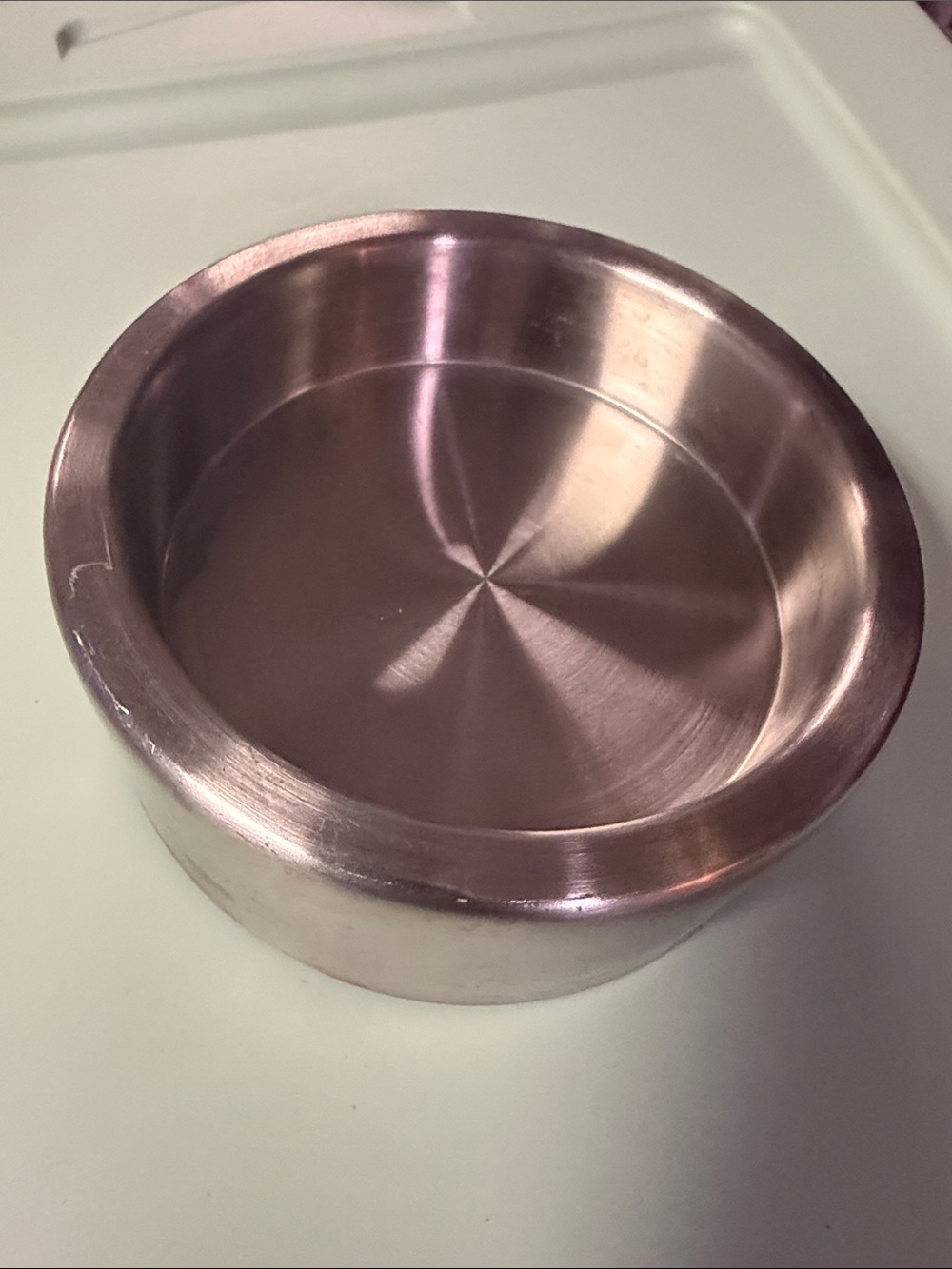 Brushed Stainless Steel Pet Bowl - Silver